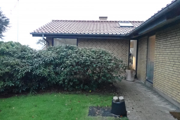Anholtvej
