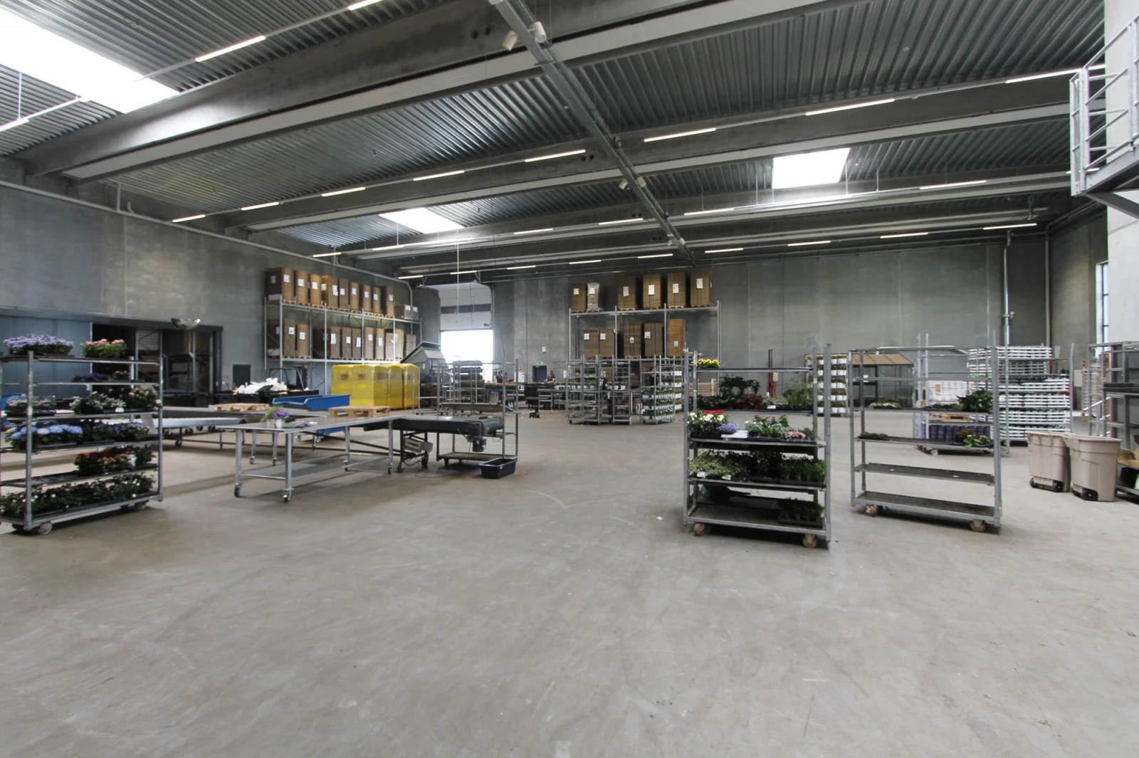 Gasa Blomsterterminal